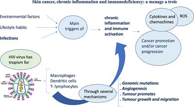 Non-Melanoma Skin Cancer in People Living With HIV: From Epidemiology to Clinical Management